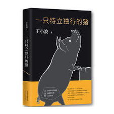 一只特立独行的猪王小波杂文精选集，逝世二十周年精装纪念版！幽默中充满智性，扛起一面自由、独立、理性的精